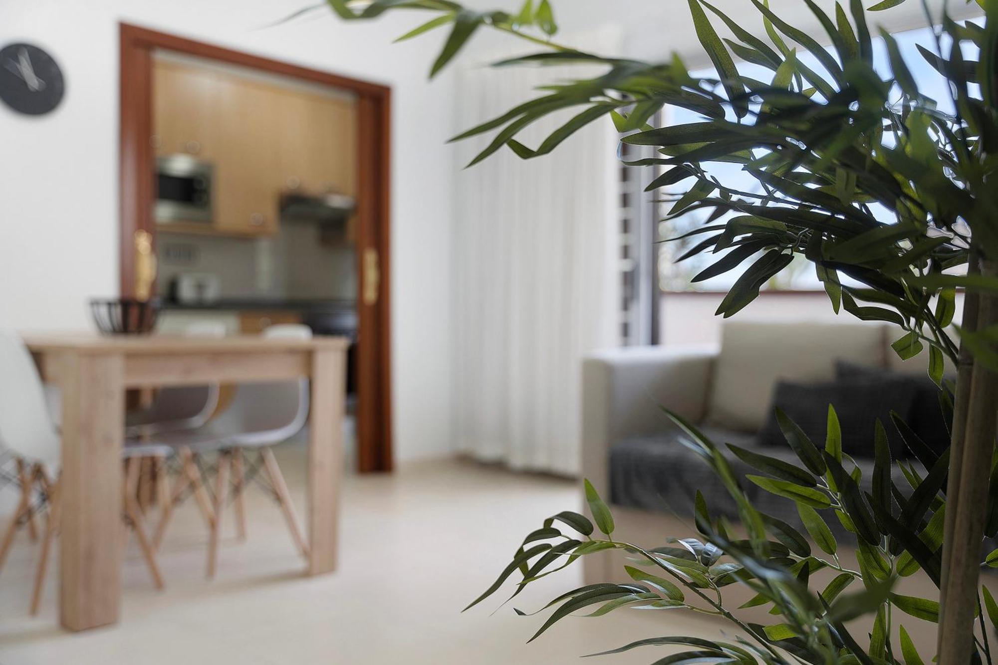 Apartment Opuntia